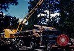 Image of Logging and sawmill operations Flagstaff Arizona USA, 1939, second 26 stock footage video 65675027897