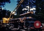 Image of Logging and sawmill operations Flagstaff Arizona USA, 1939, second 27 stock footage video 65675027897