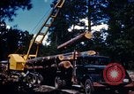Image of Logging and sawmill operations Flagstaff Arizona USA, 1939, second 28 stock footage video 65675027897