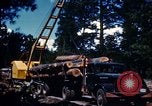 Image of Logging and sawmill operations Flagstaff Arizona USA, 1939, second 29 stock footage video 65675027897