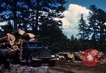 Image of Logging and sawmill operations Flagstaff Arizona USA, 1939, second 33 stock footage video 65675027897
