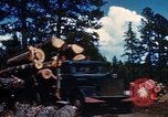 Image of Logging and sawmill operations Flagstaff Arizona USA, 1939, second 34 stock footage video 65675027897