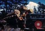 Image of Logging and sawmill operations Flagstaff Arizona USA, 1939, second 35 stock footage video 65675027897