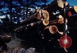 Image of Logging and sawmill operations Flagstaff Arizona USA, 1939, second 36 stock footage video 65675027897