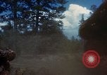 Image of Logging and sawmill operations Flagstaff Arizona USA, 1939, second 39 stock footage video 65675027897