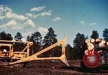 Image of Logging and sawmill operations Flagstaff Arizona USA, 1939, second 43 stock footage video 65675027897