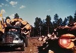 Image of Logging and sawmill operations Flagstaff Arizona USA, 1939, second 47 stock footage video 65675027897