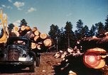 Image of Logging and sawmill operations Flagstaff Arizona USA, 1939, second 48 stock footage video 65675027897