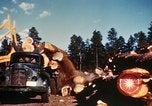 Image of Logging and sawmill operations Flagstaff Arizona USA, 1939, second 49 stock footage video 65675027897