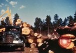 Image of Logging and sawmill operations Flagstaff Arizona USA, 1939, second 50 stock footage video 65675027897