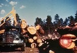 Image of Logging and sawmill operations Flagstaff Arizona USA, 1939, second 51 stock footage video 65675027897