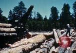 Image of Logging and sawmill operations Flagstaff Arizona USA, 1939, second 53 stock footage video 65675027897