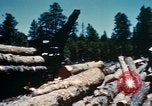 Image of Logging and sawmill operations Flagstaff Arizona USA, 1939, second 54 stock footage video 65675027897
