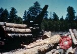 Image of Logging and sawmill operations Flagstaff Arizona USA, 1939, second 55 stock footage video 65675027897