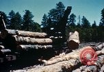Image of Logging and sawmill operations Flagstaff Arizona USA, 1939, second 56 stock footage video 65675027897