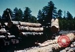 Image of Logging and sawmill operations Flagstaff Arizona USA, 1939, second 57 stock footage video 65675027897
