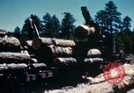 Image of Logging and sawmill operations Flagstaff Arizona USA, 1939, second 60 stock footage video 65675027897