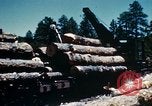 Image of Logging and sawmill operations Flagstaff Arizona USA, 1939, second 62 stock footage video 65675027897