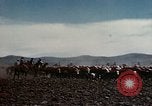 Immagine di 1939 Flagstaff All Indian Pow Wow Parade Arizona United States USA, 1939, secondo 57 filmato di repertorio 65675027898