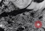 Image of massacre caused by Soviet troops Germany, 1945, second 10 stock footage video 65675027913