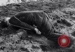 Image of massacre caused by Soviet troops Germany, 1945, second 21 stock footage video 65675027913