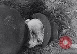 Image of massacre caused by Soviet troops Germany, 1945, second 23 stock footage video 65675027913