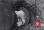 Image of massacre caused by Soviet troops Germany, 1945, second 24 stock footage video 65675027913