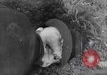 Image of massacre caused by Soviet troops Germany, 1945, second 25 stock footage video 65675027913