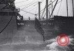 Image extension de lignes de ravitaillement 'Océan Atlantique, 1945, de la seconde 3 séquences d'archives historiques vidéo 65675027918