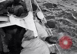 Image of US Coast Guard Cutter George W Campbell being repaired at sea United States USA, 1943, second 51 stock footage video 65675027941