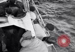 Image of US Coast Guard Cutter George W Campbell being repaired at sea United States USA, 1943, second 52 stock footage video 65675027941