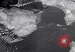 Image of Crew of USCGC Campbell have lunch on deck Nova Scotia, 1943, second 42 stock footage video 65675027942
