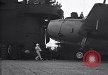 Image Grumman TBF Avenger nez d'avions de plus sur le pont du USS Bunker Hill théâtre du Pacifique, 1944, de la seconde 28 séquences d'archives historiques vidéo 65675027961