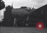 Image Grumman TBF Avenger nez d'avions de plus sur le pont du USS Bunker Hill théâtre du Pacifique, 1944, de la seconde 41 séquences d'archives historiques vidéo 65675027961