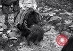 Image Jawaharlal Nehru le Tibet, 1958, de la seconde 55 séquences d'archives historiques vidéo 65675027981
