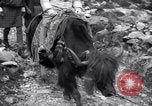 Image Jawaharlal Nehru le Tibet, 1958, de la seconde 56 séquences d'archives historiques vidéo 65675027981