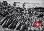 Standbild Chinesische Kommunisten bombardieren Quemoy Quemoy China, 1958, aus Sekunde 17 historischem Filmmaterial Videoclip 65675027982