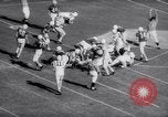 Standbild Air Force gegen Stanford im College Football 1958 Palo Alto California USA, 1958, aus Sekunde 29 historischem Filmmaterial Videoclip 65675027985