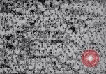 Standbild Air Force gegen Stanford im College Football 1958 Palo Alto California USA, 1958, aus Sekunde 42 historischem Filmmaterial Videoclip 65675027985