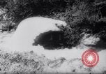 Standbild Snow Storm Colorado United States USA, 1959, aus Sekunde 24 historischem Filmmaterial Videoclip 65675027991