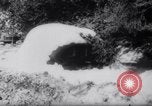 Standbild Snow Storm Colorado United States USA, 1959, aus Sekunde 25 historischem Filmmaterial Videoclip 65675027991