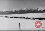 Standbild Snow Storm Colorado United States USA, 1959, aus Sekunde 26 historischem Filmmaterial Videoclip 65675027991