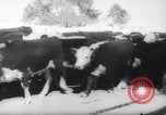 Standbild Snow Storm Colorado United States USA, 1959, aus Sekunde 37 historischem Filmmaterial Videoclip 65675027991