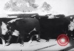 Standbild Snow Storm Colorado United States USA, 1959, aus Sekunde 38 historischem Filmmaterial Videoclip 65675027991