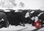 Standbild Snow Storm Colorado United States USA, 1959, aus Sekunde 39 historischem Filmmaterial Videoclip 65675027991