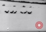 Standbild Snow Storm Colorado United States USA, 1959, aus Sekunde 41 historischem Filmmaterial Videoclip 65675027991