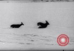Standbild Snow Storm Colorado United States USA, 1959, aus Sekunde 43 historischem Filmmaterial Videoclip 65675027991