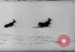 Standbild Snow Storm Colorado United States USA, 1959, aus Sekunde 44 historischem Filmmaterial Videoclip 65675027991