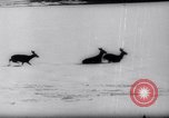 Standbild Snow Storm Colorado United States USA, 1959, aus Sekunde 45 historischem Filmmaterial Videoclip 65675027991