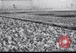 Standbild Nikita Chruschtschow mit Mao Zedong Peking China, 1959, aus Sekunde 6 historischem Filmmaterial Videoclip 65675027992